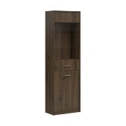 NEPO PLUS vitrína REG1D1W, dub ušlechtilý