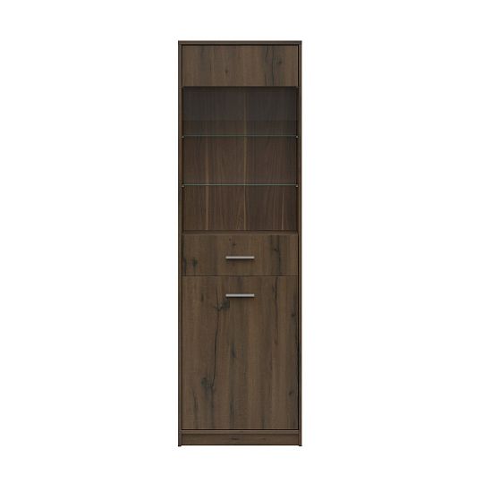 NEPO PLUS vitrína REG1D1W, dub ušlechtilý