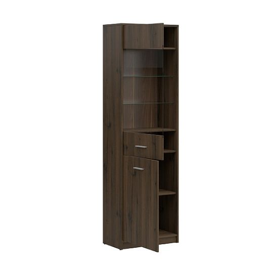 NEPO PLUS vitrína REG1D1W, dub ušlechtilý