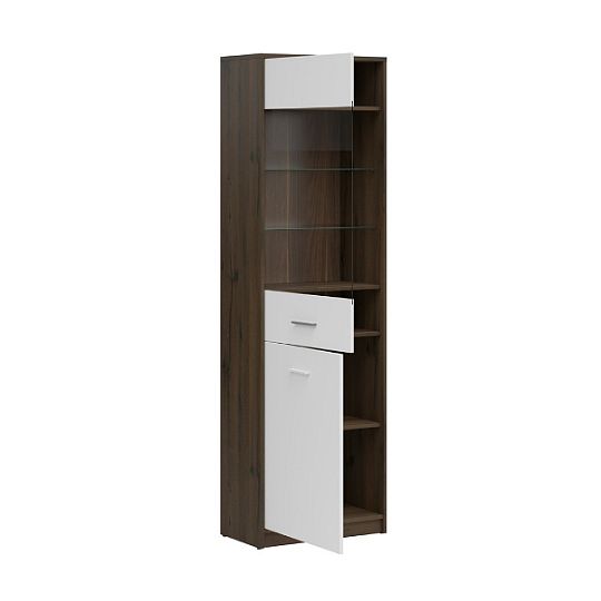 NEPO PLUS vitrína REG1D1W, dub ušlechtilý/bílá