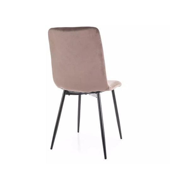 Jídelní židle, TRENDY DIREN, cappuccino/černá