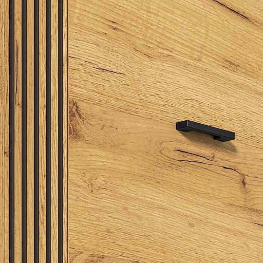 VANESSA TRENDY 01 šatní skříň, univerzální, dub craft zlatý/černá