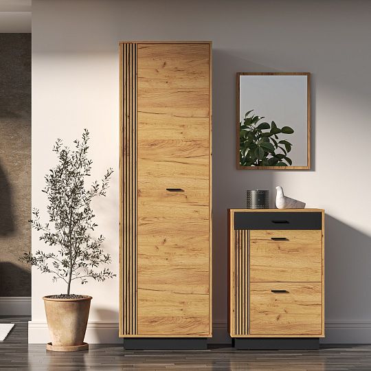 VANESSA TRENDY 01 šatní skříň, univerzální, dub craft zlatý/černá